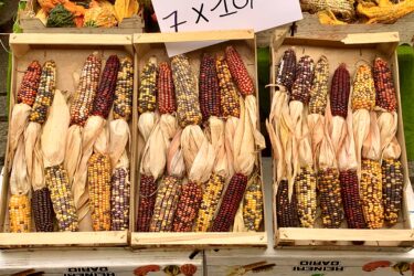 ミラノ運河沿いの「花と味のマーケット」
